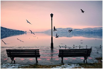bench,birds,flight,greece,gulls,justeline-7a8220791b1c4d30c016934e4dbf7fe0_h.jpg, 36 KB