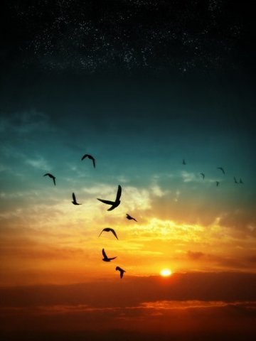 color,photograph,sunset-7b280a69357e074f4ee0cd71b7d74fd5_h.jpg, 27 KB